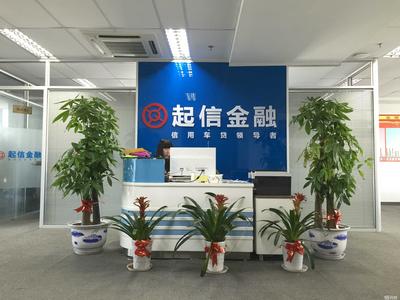 起信金融信息服务苏州分公司 专注专业金融服务，助力地方经济稳健发展